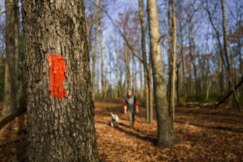 fall hiking photo on Mid State Trail by Shawn Grenninger