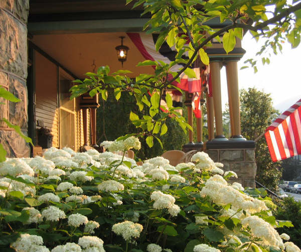 the queen victorian bed and breakfast