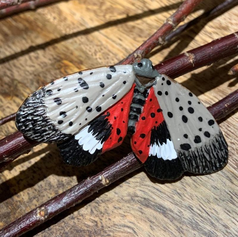 spotted lanternfly