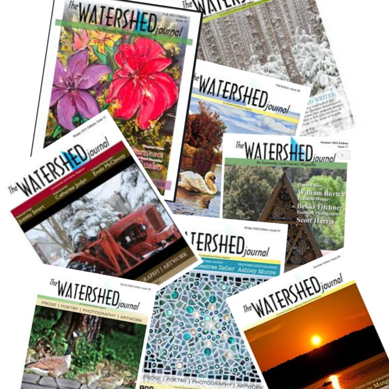 Collage of the Watershed Journal publication covers.